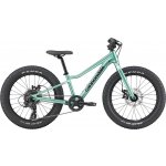 Cannondale Kids Trail Plus 2026 – Hledejceny.cz