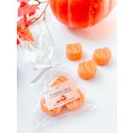 V & T Handmade Vonný vosk Pumpkin Spice 45 g – Hledejceny.cz