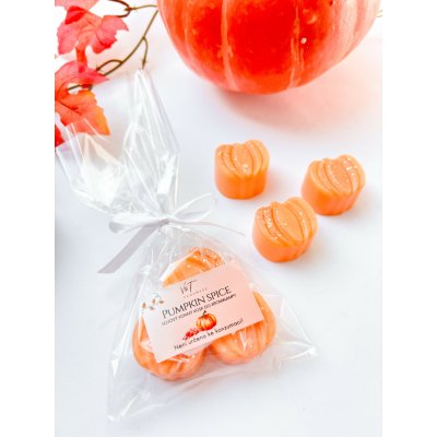 V & T Handmade Vonný vosk Pumpkin Spice 45 g – Hledejceny.cz