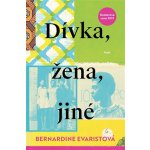 Dívka, žena, jiné - Bernardine Evaristo – Hledejceny.cz