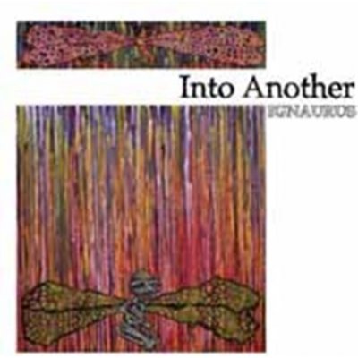 Into Another - Ignaurus LP – Zbozi.Blesk.cz