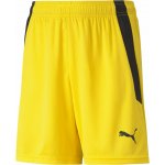 Puma teamLIGA Shorts Jr – Sleviste.cz