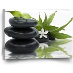 Sablio Obraz Květ s kameny - 90x60 cm – Hledejceny.cz