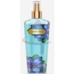 Victoria´s Secret Aqua Kiss tělový sprej 250 ml – Hledejceny.cz