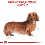 Royal Canin Dachshund Adult 1,5 kg – Sleviste.cz