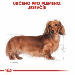 Royal Canin Dachshund Adult 1,5 kg – Hledejceny.cz