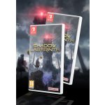 Shadow Labyrinth – Zboží Dáma
