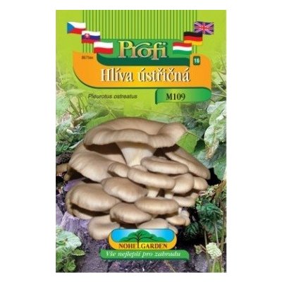 Nohel Garden Hlíva ústřičná (Pleurotus ostreatus) hnědá forma