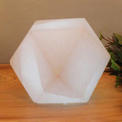 Wagner Life 46431 – Zboží Dáma