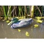 Prodex Import Kachna plast – Zboží Dáma