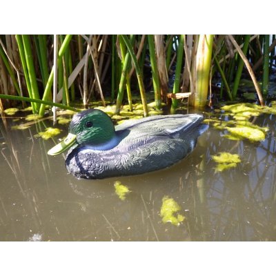 Prodex Import Kachna plast – Zboží Dáma