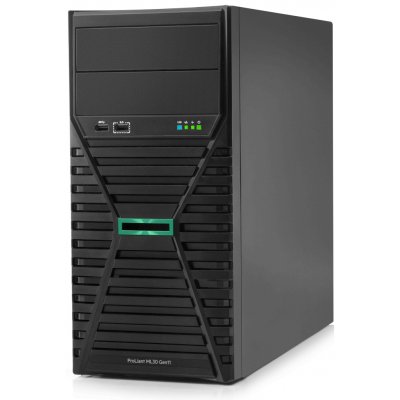 HPE PL ML30g11 6325P P85579-425 – Zboží Živě