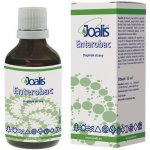 Joalis Enterobac 50 ml – Hledejceny.cz