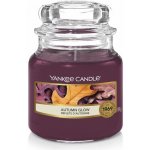 Yankee Candle Autumn Glow 104 g – Hledejceny.cz