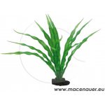 Hobby Crinum 29 cm – Sleviste.cz