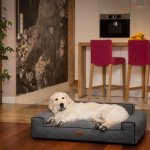 HobbyDog Pelech Glamour Inari – Zboží Dáma
