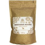 Healing Nature BIO Kokosová mouka bezlepková 0,5 kg – Sleviste.cz