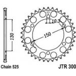 JT Sprockets JTR 300-48 | Zboží Auto