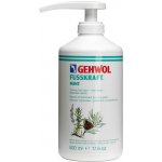 Gehwol Fusskraft Mint 500 ml – Zboží Mobilmania