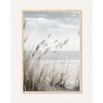 Oboustranný plakát Plážové Pampasy / Suché Květiny | 30 x 42 cm | DP351331 – Zboží Dáma