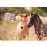 Podložka Koně – Zboží Dáma