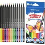 Centropen akvarelové pastelky 12 barev 9523 – Hledejceny.cz