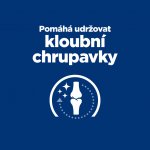 Hill's Prescription Diet J/D Péče o klouby 12 kg – Zboží Mobilmania