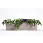 Samozavlažovací truhlík Plastia BERBERIS 80 komplet set taupe-slonová kost – Sleviste.cz