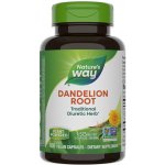 Nature's Way Dandelion Root 100 kapslí – Hledejceny.cz