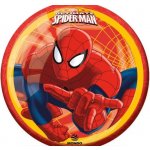 Míč Spiderman 230mm – Hledejceny.cz