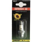 Zapalovací svíčka BRISK PR17 – Hledejceny.cz