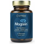Pontina Nutrition Magnesium L-Treonát Magtein 120 kapslí – Hledejceny.cz