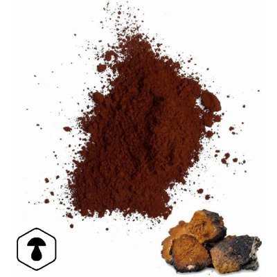 LifeChi Chaga Inonotus obliquus houbový prášek 100 g – Hledejceny.cz