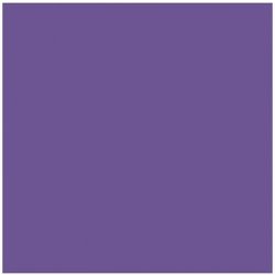 BD 154 pozadí 2,75x11m Purple