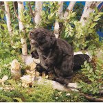 Folkmanis Bobr plyšový maňásek – Zboží Dáma