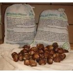 Tierra Verde Pods mýdlové ořechy 1000 g – Hledejceny.cz