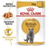Royal Canin British Shorthair Gravy 12 X 85 g – Sleviste.cz