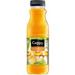 Cappy Multivitamin 330 ml – Zboží Dáma