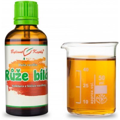 Bylinné kapky Růže bílá květ tinktura 50 ml – Hledejceny.cz
