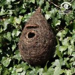 Wildlife World Ptačí budka – Brushwood – otvor 3 cm – Zboží Dáma