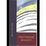 Fantomové bolesti - Bjarte Breiteig – Hledejceny.cz