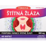 Terezia Company ŠTÍTNÁ ŽLÁZA 60 kapslí – Hledejceny.cz