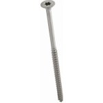 Rapi-Tec SD nerez 5x100mm, Torx25, částečný závit, zápustný /100ks – Hledejceny.cz