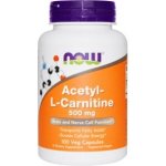 Now Foods Foods Acetyl-L-Carnitine 500 mg 100 kapslí – Hledejceny.cz