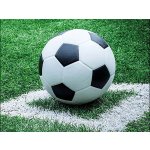 Goba ubrousky Fotbalový míč 20ks 33x33cm
