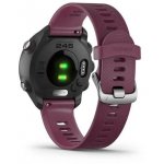 Garmin Forerunner 245 – Zboží Živě