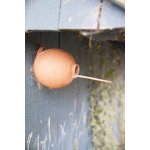 Esschert Design Hnízdo BEST FOR BIRDS soudek Sýkora modřinka 17 cm – Hledejceny.cz