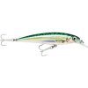 Návnada a nástraha Rapala X-Rap Saltwater 10 GM 10cm