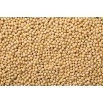 Les fruits du paradis Sojové boby Bio 3000 g – Zboží Dáma