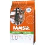 Iams for Vitality Cat Adult Lamb 10 kg – Zboží Dáma